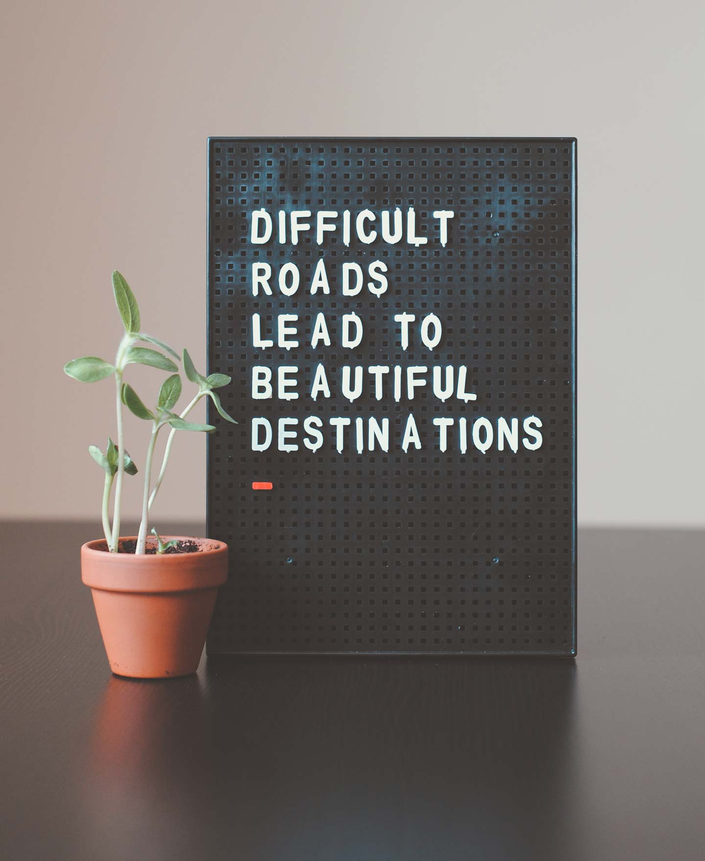 difficult roads lead to beautiful destinations sign and plant