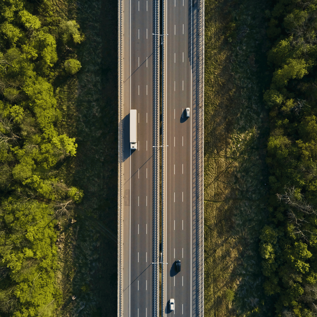 Dora TMS for transport software